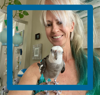 Pearl cockatiel with Shannon
