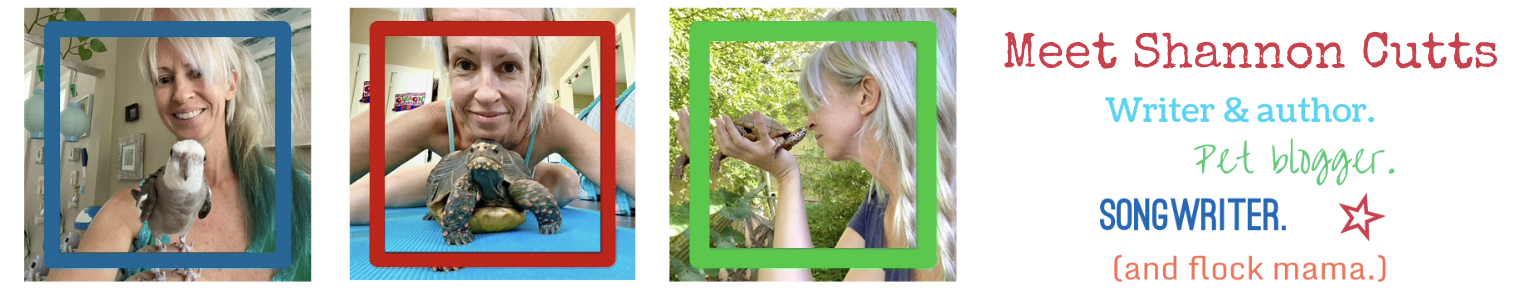 Shannon Cutts official website