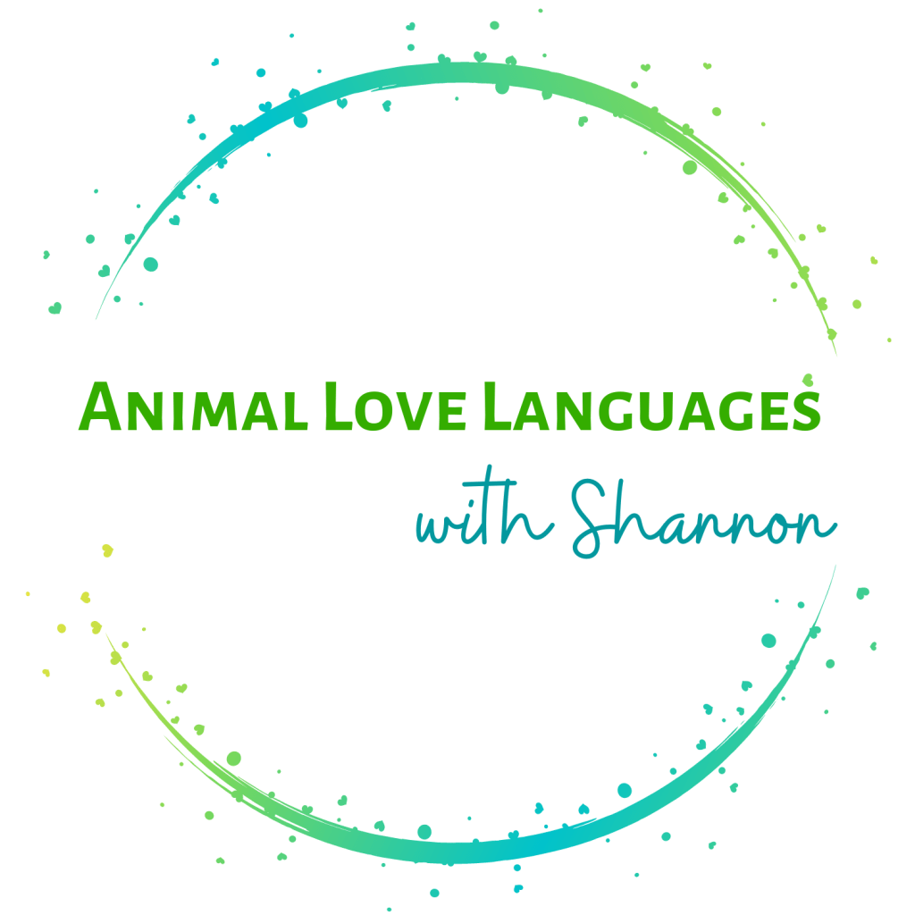Animal communicator Shannon Cutts at Animal Love Languages
