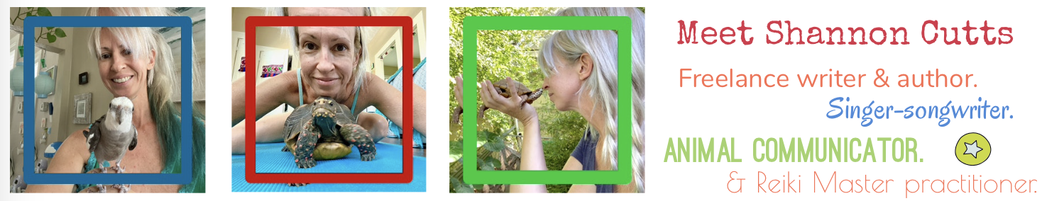 Shannon Cutts website